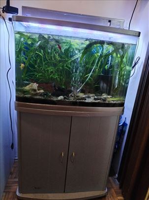 Akvarijum sa postoljem, 100 l