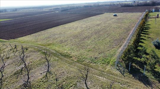 Banstol gradjevinsko zemljiste 1250 m2 HITNO