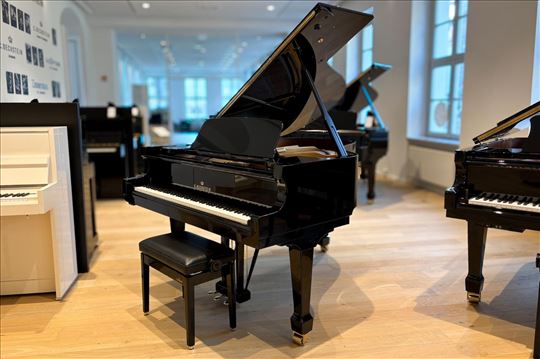 C. Bechstein Academy A 175, CB Connect