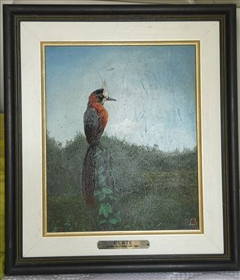 Dragan Malešević Tapi - slika Elate 1992. 