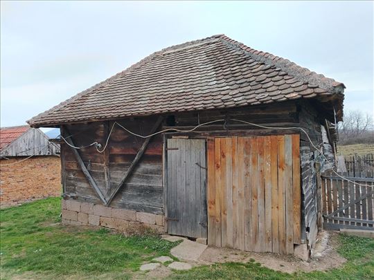 Magaza