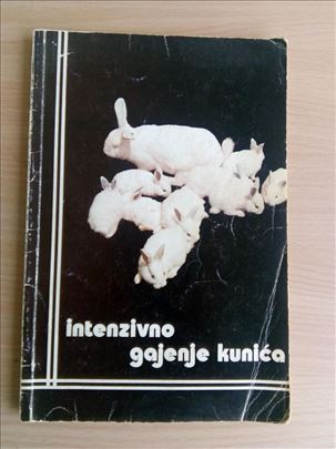 INTENZIVNO GAJENJE KUNIĆA