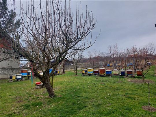 Pčelinjak LR društva