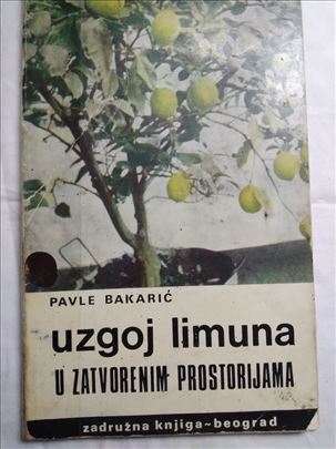 Knjiga:Uzgoj limuna u zatvorenim prostorijama-Pavl