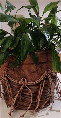 Pletena korpa za cveće ili nešto drugo 