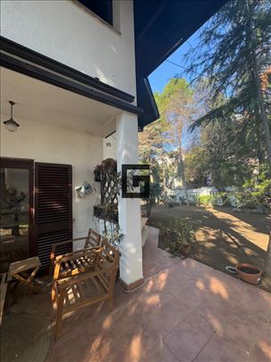 Unikatna kuća-Hram Sv. Save-5.4 ari, Internacional