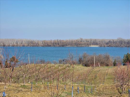 Odličan plac sa pogledom na Dunav-bez provizije