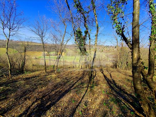 Plac Fruška gora Čortanovci 67 ari,  gradjevinsko