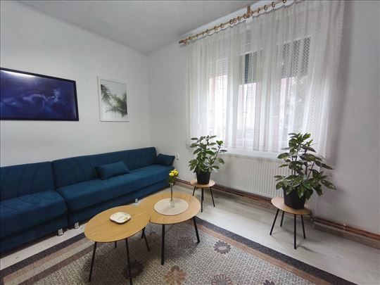 Renoviran 2.5 stan, 56m2, Adamovićevo naselje 