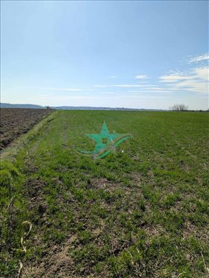 Prodaja placa u Sremčici 4000eur/ar ID#1190
