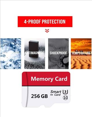 Micro SD kartica 256GB