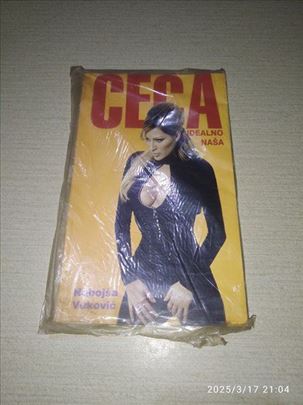 Nebojša Vuković - Ceca idealno naša