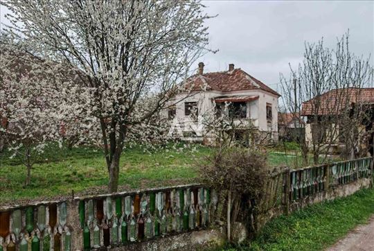 Mladenovac, Jagnjilo, Janka Badžaka, kuća i imanje