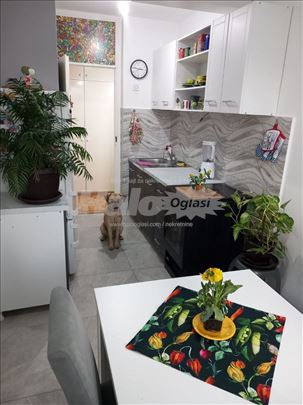 Blok 63, bez provizije, odlican, adaptibilan, 