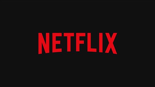 Netflix - 12 meseci