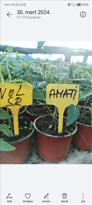 Rasad za prodaju 