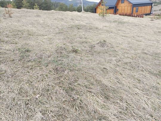 Prodajem plac na Zlatibor, Vodice