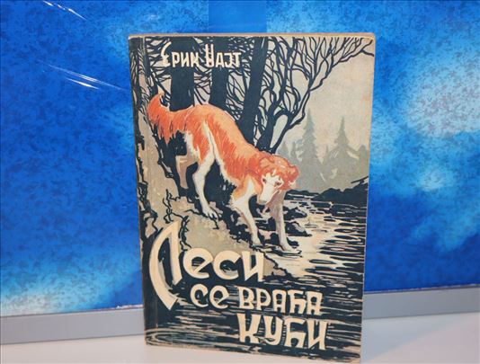 Lesi se vraća kući - Erik Najt