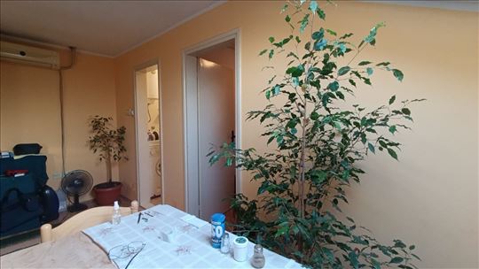 1.5  Bele vode, okretnica busa 51