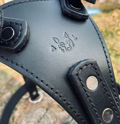 Am za pse (koža 4mm + gurtna)