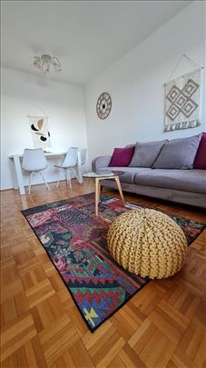 Novi Beograd, pet friendly