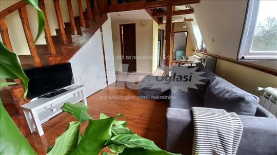 Divan stan kod Zire / Dve sobe + galerija