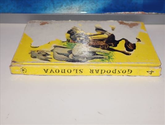 gospodar slonova rene gijo