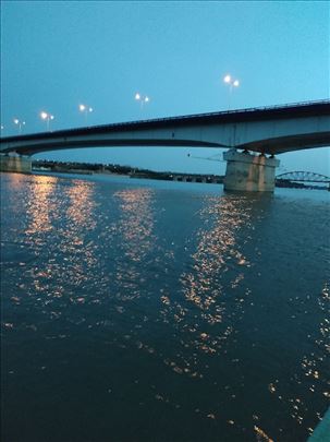Sava, splav