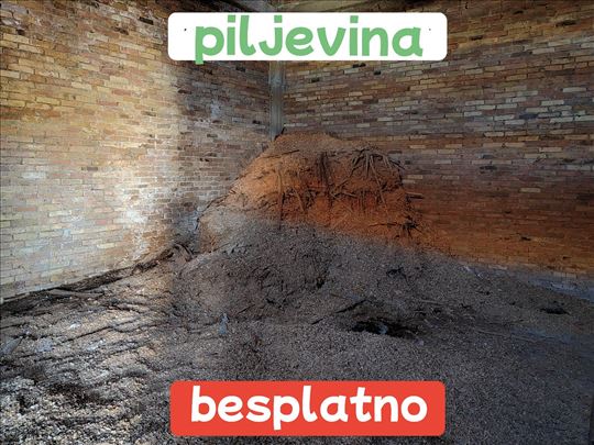 Piljevina