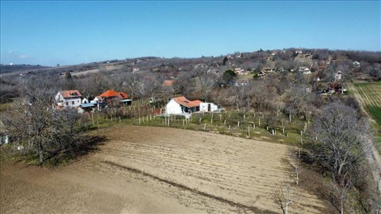 Novi Slankamen Građevinsko zemljište 1600m2 HITNO!