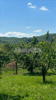 Prodaja zemljišta / Djikino brdo / Arandjelovac 
