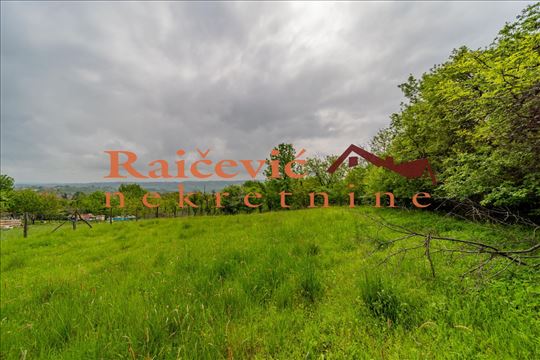 Ripanj, Brdjani, plac od 15.46 ari
