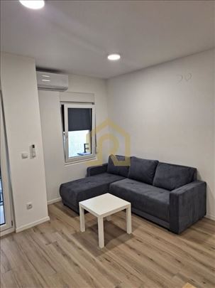 Izdavanje, stan, Svetozara Radojcica, 30m2, Id1613