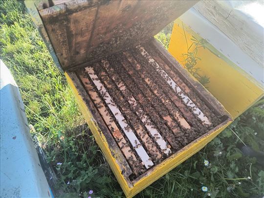 Продаја ројева и пчелињих друштава 