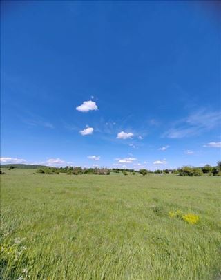 Zlatibor 1ar/900eura