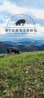 "Moravke" prasad i nazimice.