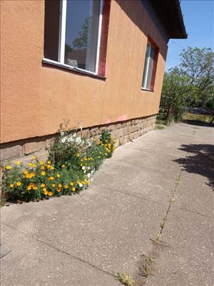 Crepaja, predivna porodicna vila sa 28 ari placa