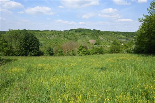 Ripanj - potes Pečine