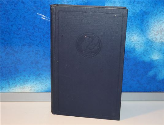 Beskonačni Puškin M. M. Pešić