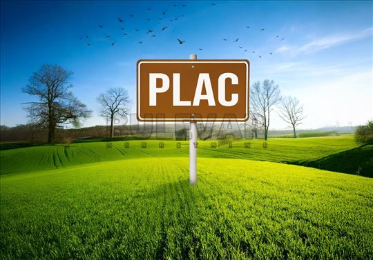 Plac, Vinik 2410 m2