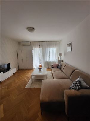 Vračar, pet friendly