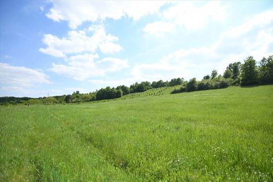 Ripanj - Pečine