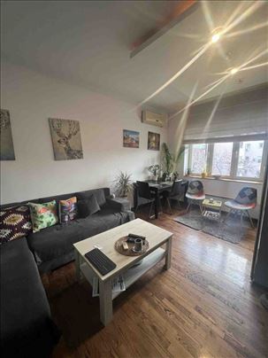 Trosoban stan u Risanskoj,renoviran,od 20.maja ID#