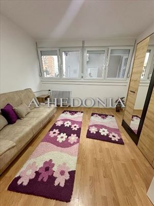Banovo brdo, Požeška, izdavanje, 2.0, renoviran