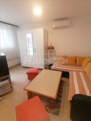 Hitno izdajem garsonjeru u Rakovici