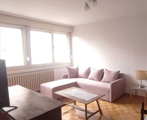 2.5 Dvoiposoban|Centar Brace Jerkovic,Pet friendly