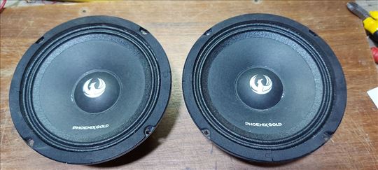 phoenix gold car audio