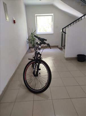 Visitor hunter mtb