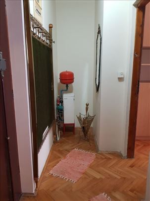 BRAĆEj Jerković namešten  1,5