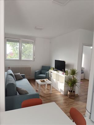 Banovo brdo, renoviran, funkcionalan, ID 24246